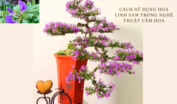 Cách sử dụng hoa linh sam trong nghệ thuật cắm hoa – Tất cả những gì bạn cần biết!